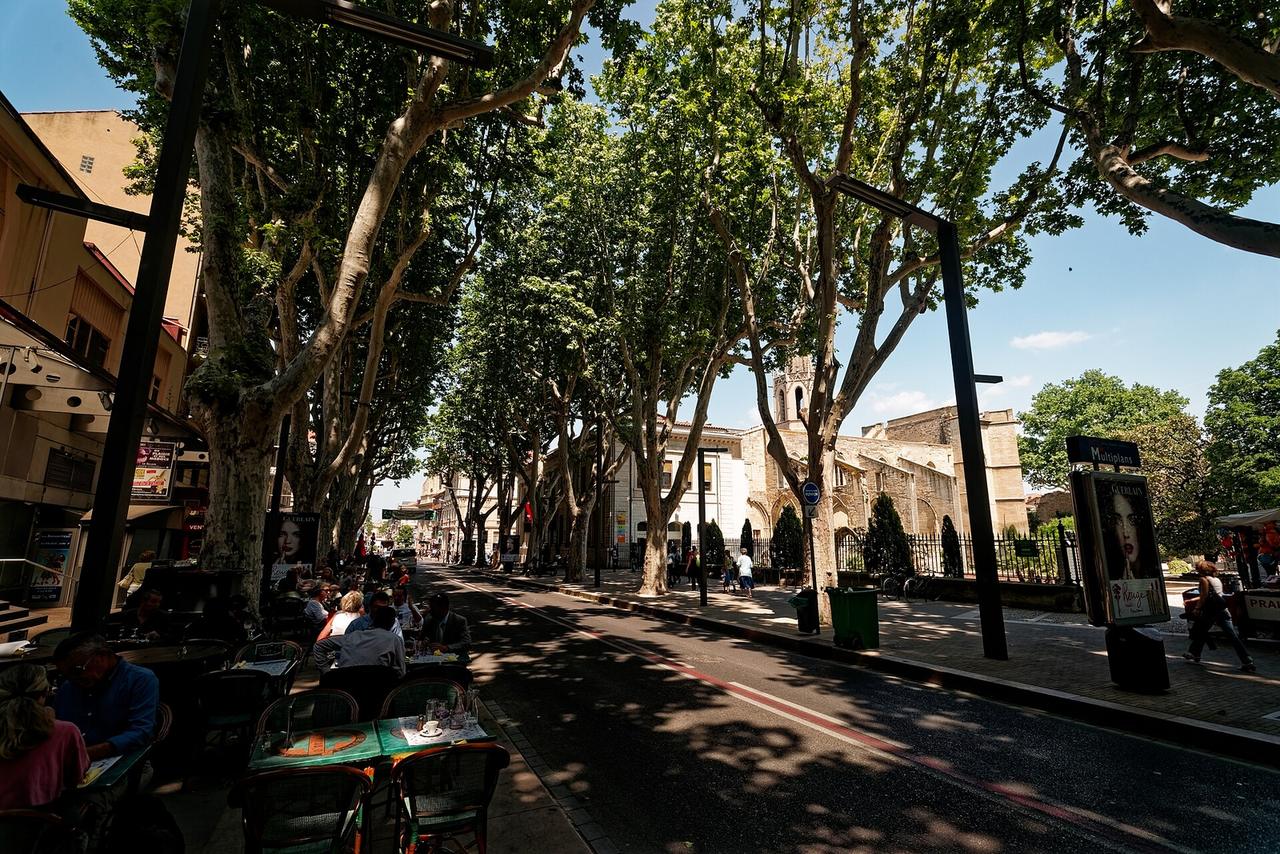 Le cours Jean Jaurès à Avignon, large avenue piétonne bordée d'arbres et de commerces